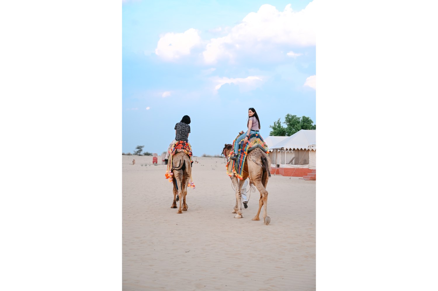 top hotels in bikaner