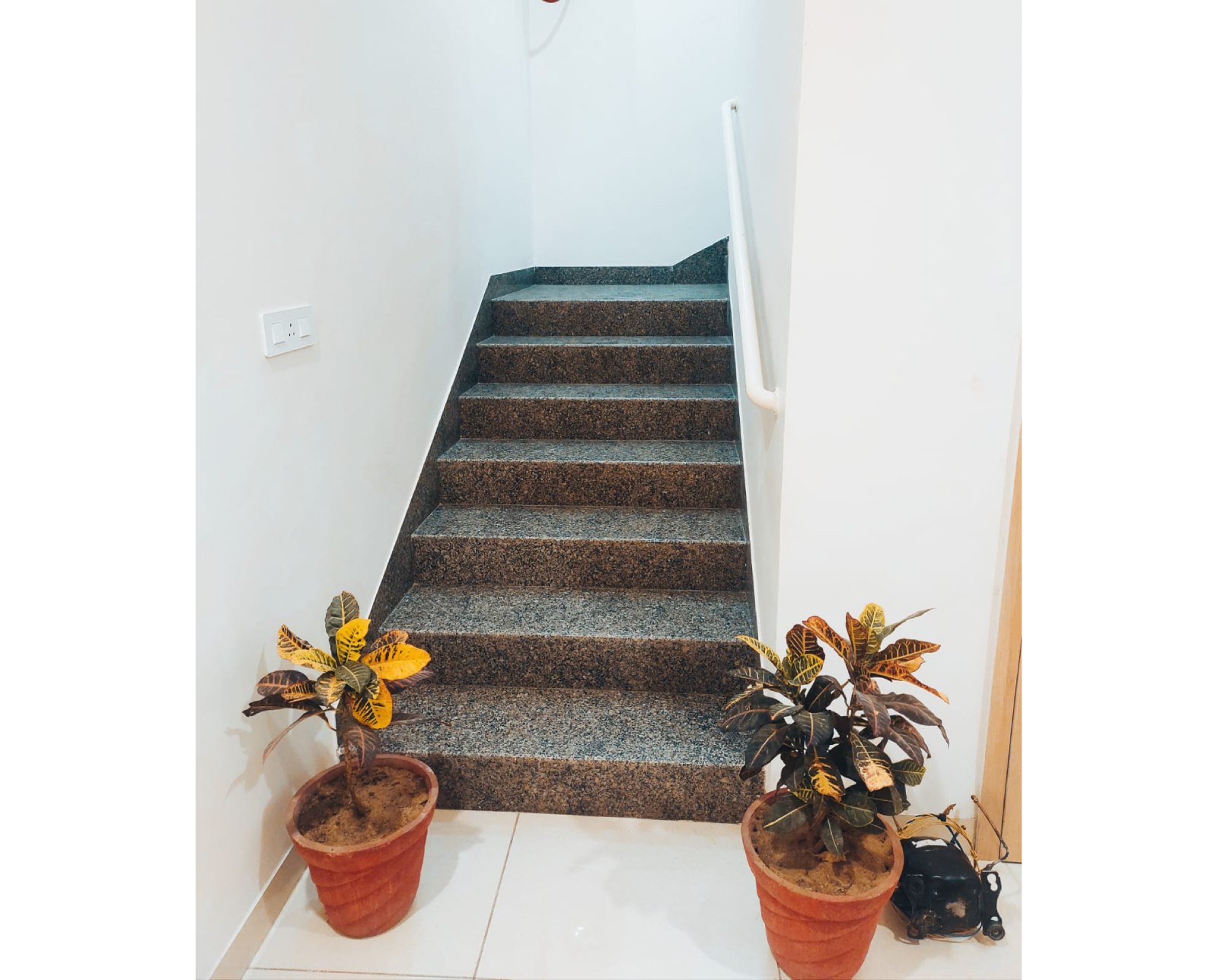 best hotel in bikaner 